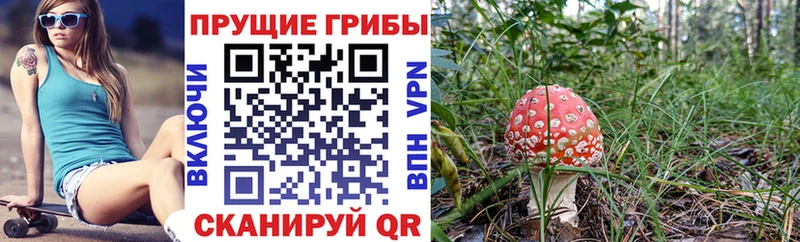 Галлюциногенные грибы Magic Shrooms  Купить  Ростов-на-Дону 